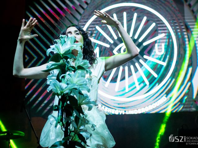 Három albumon dolgozik a Magashegyi